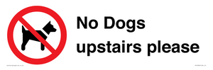 No Dogs upstairs please 